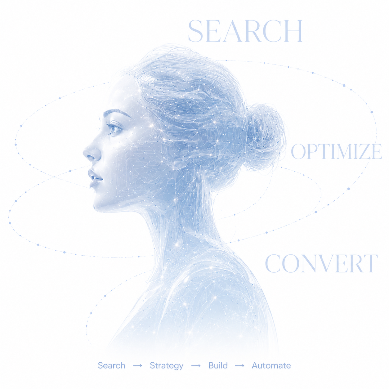AI-powered search, optimize and convert
